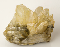 M 00079
<br/>
<br/>
<em></em>